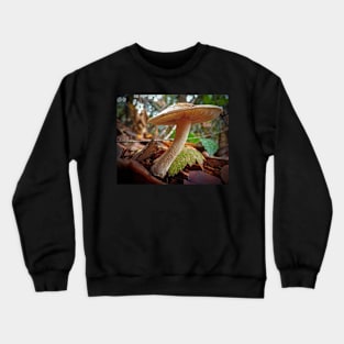 Sunny Mushroom Crewneck Sweatshirt